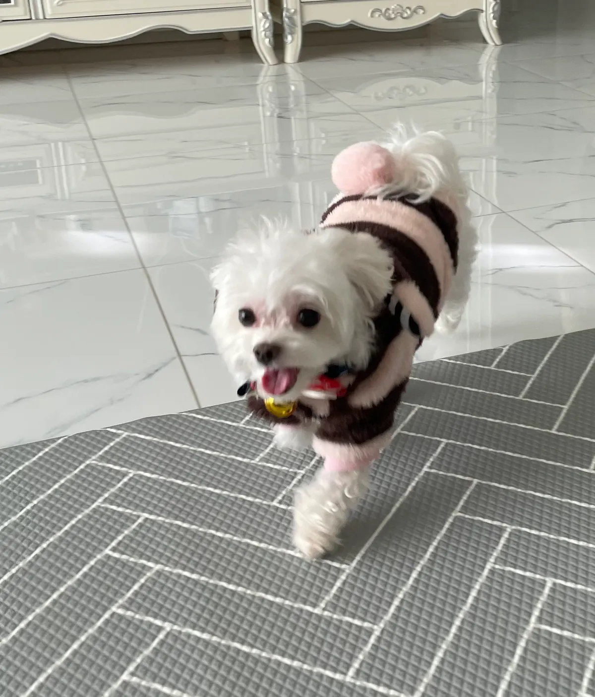 이미지 10