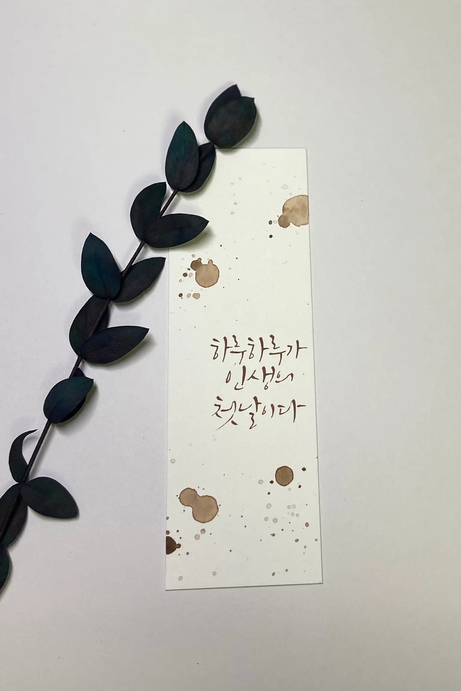 이미지 7