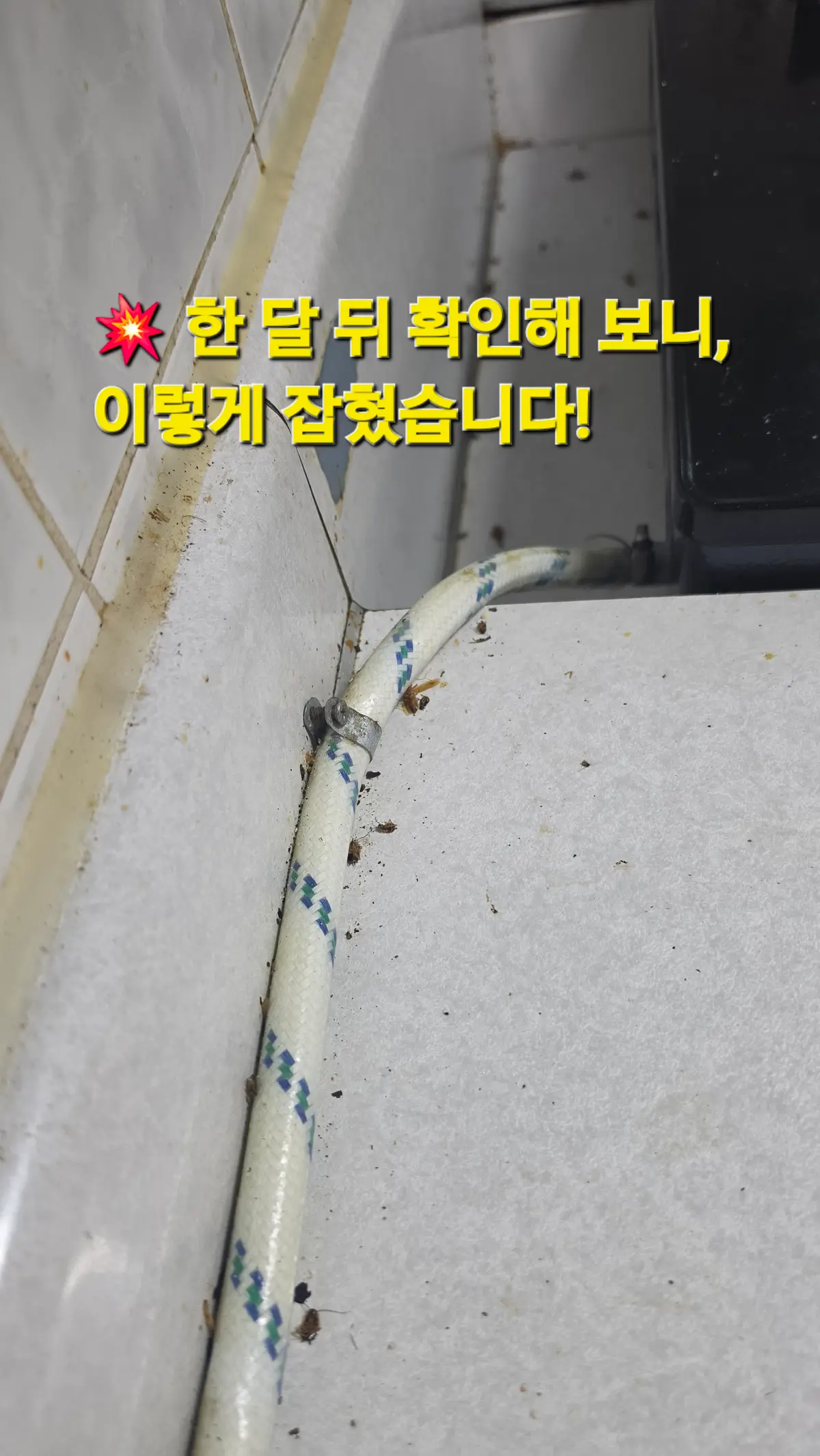 이미지 24