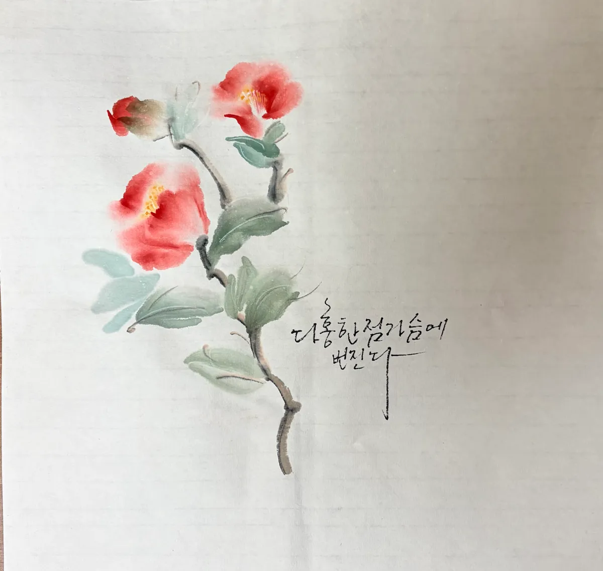 이미지 11