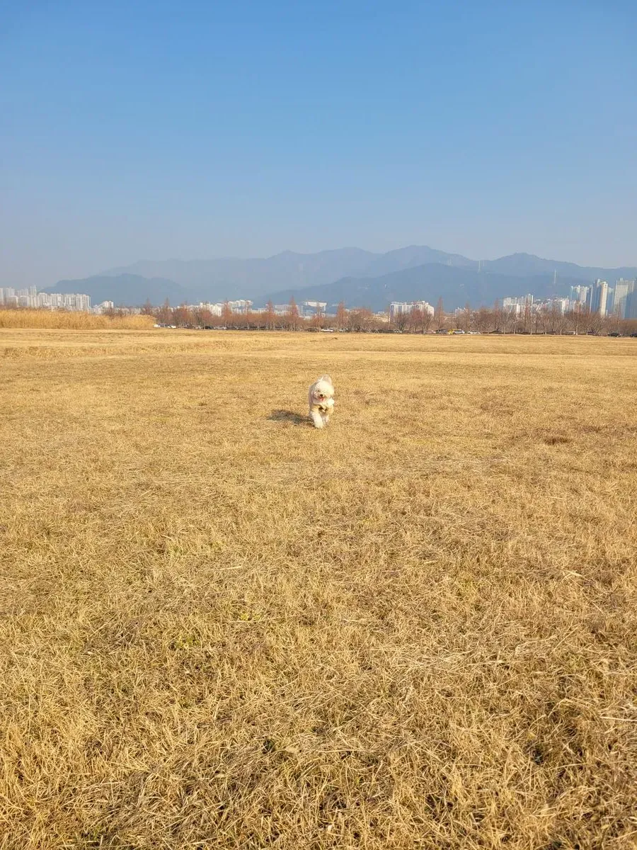 이미지 5