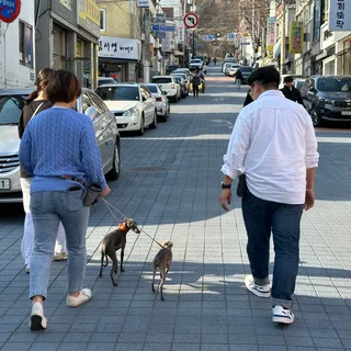 몰리&망고 교육