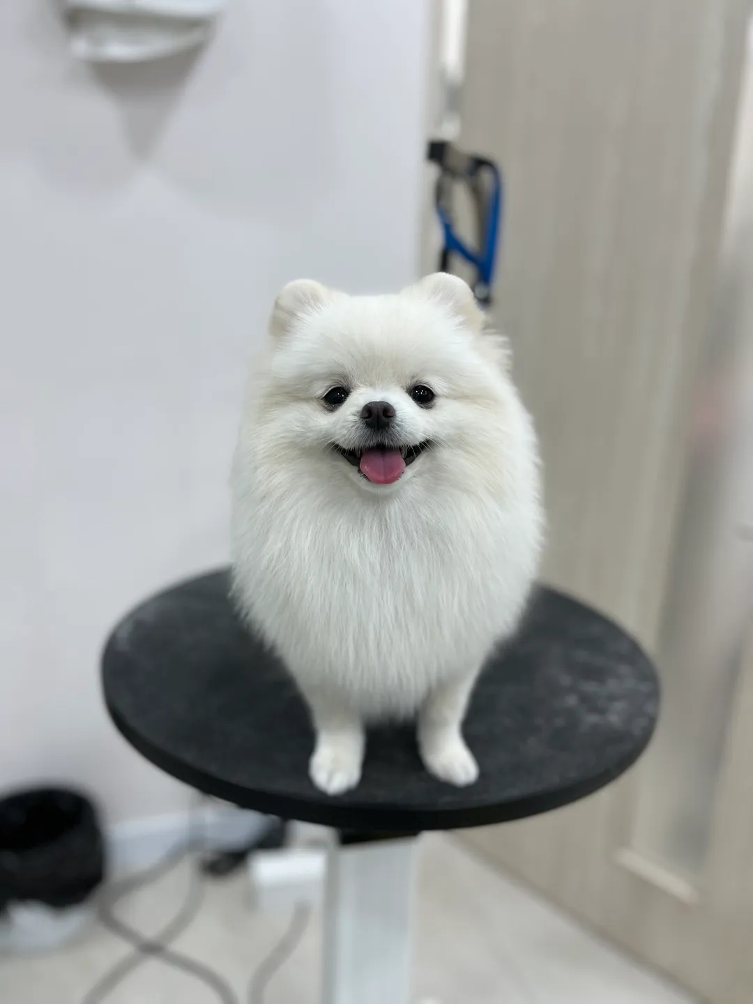 이미지 3