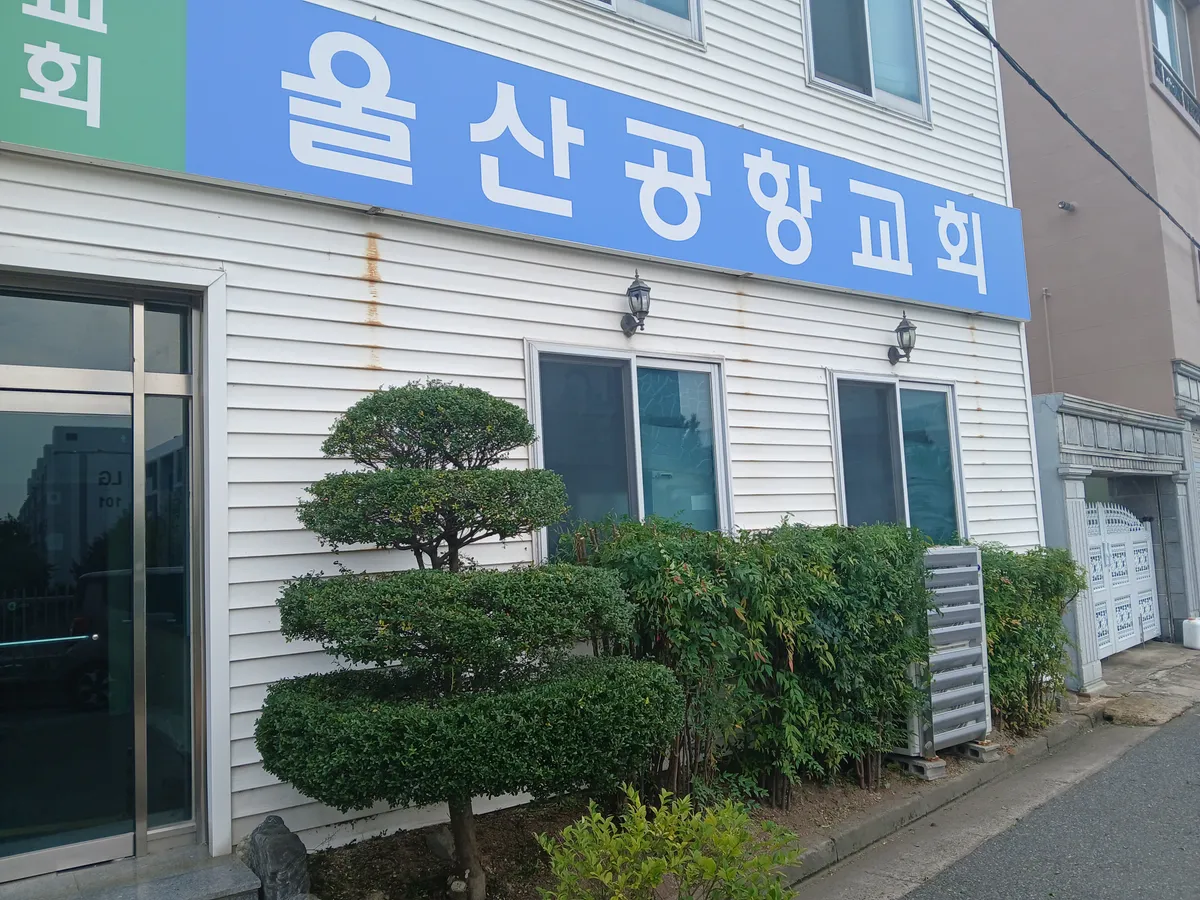이미지 13