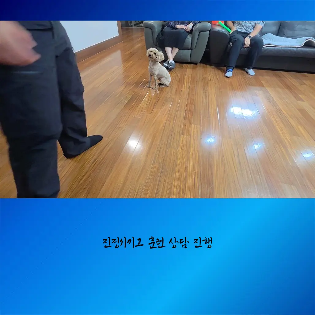 이미지 10