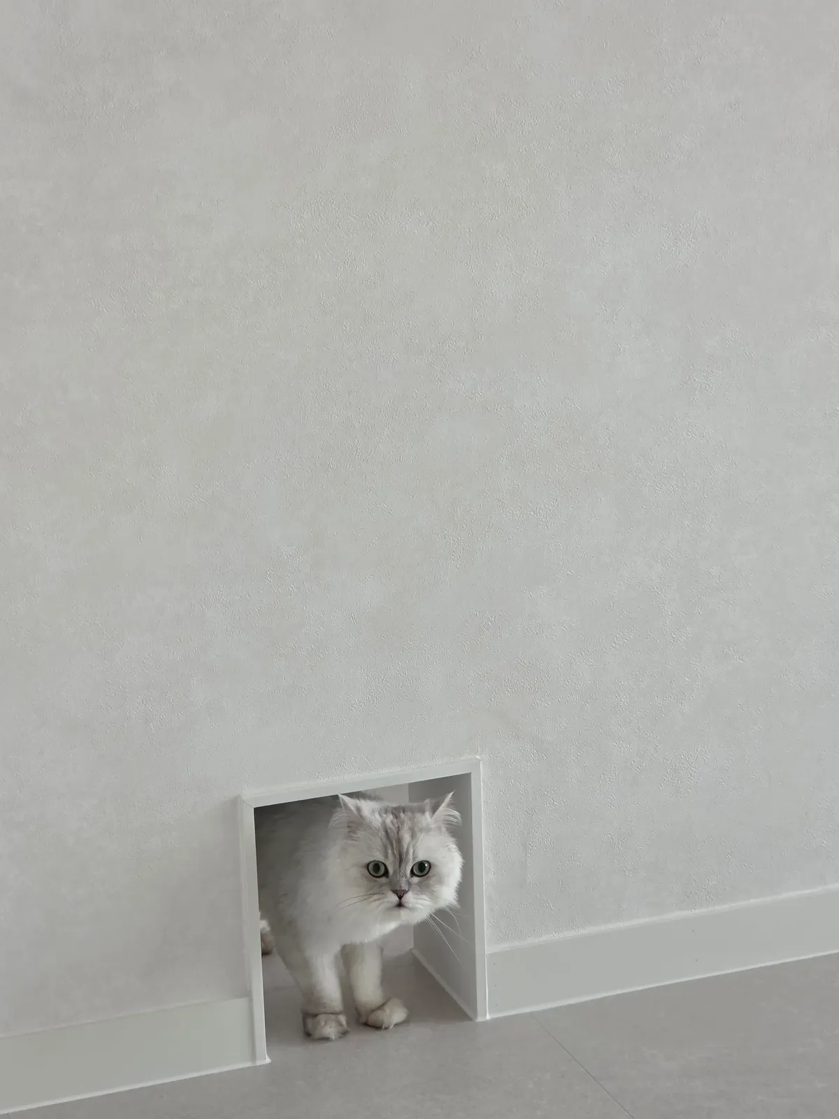 이미지 24