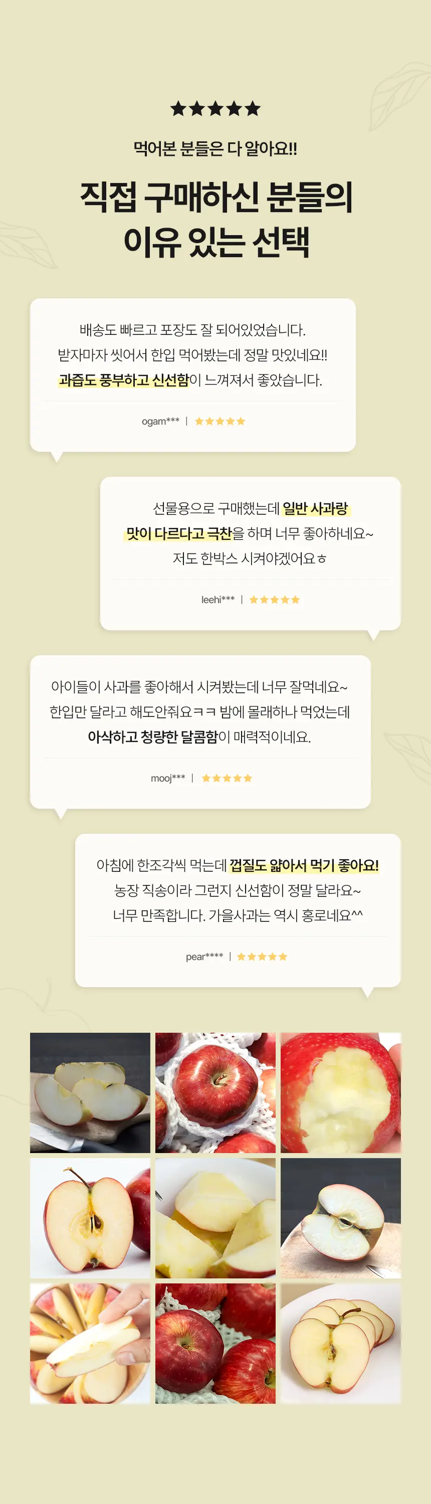 이미지 6