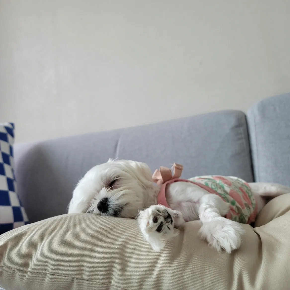 이미지 7