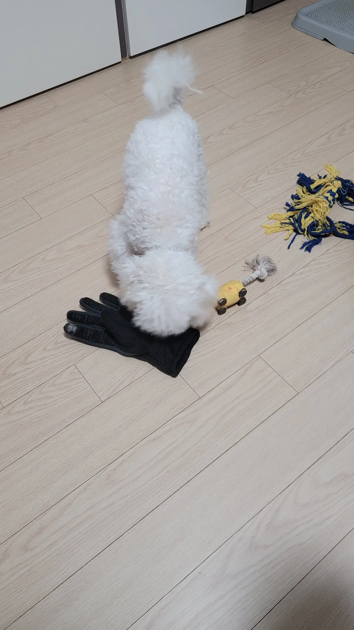 이미지 10