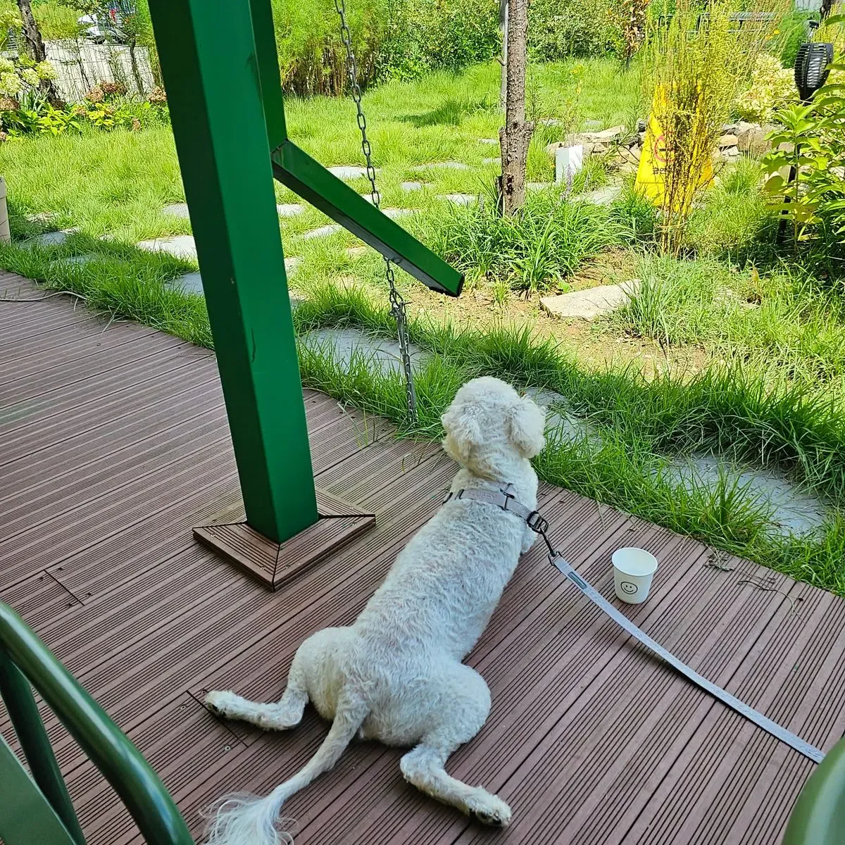 이미지 5