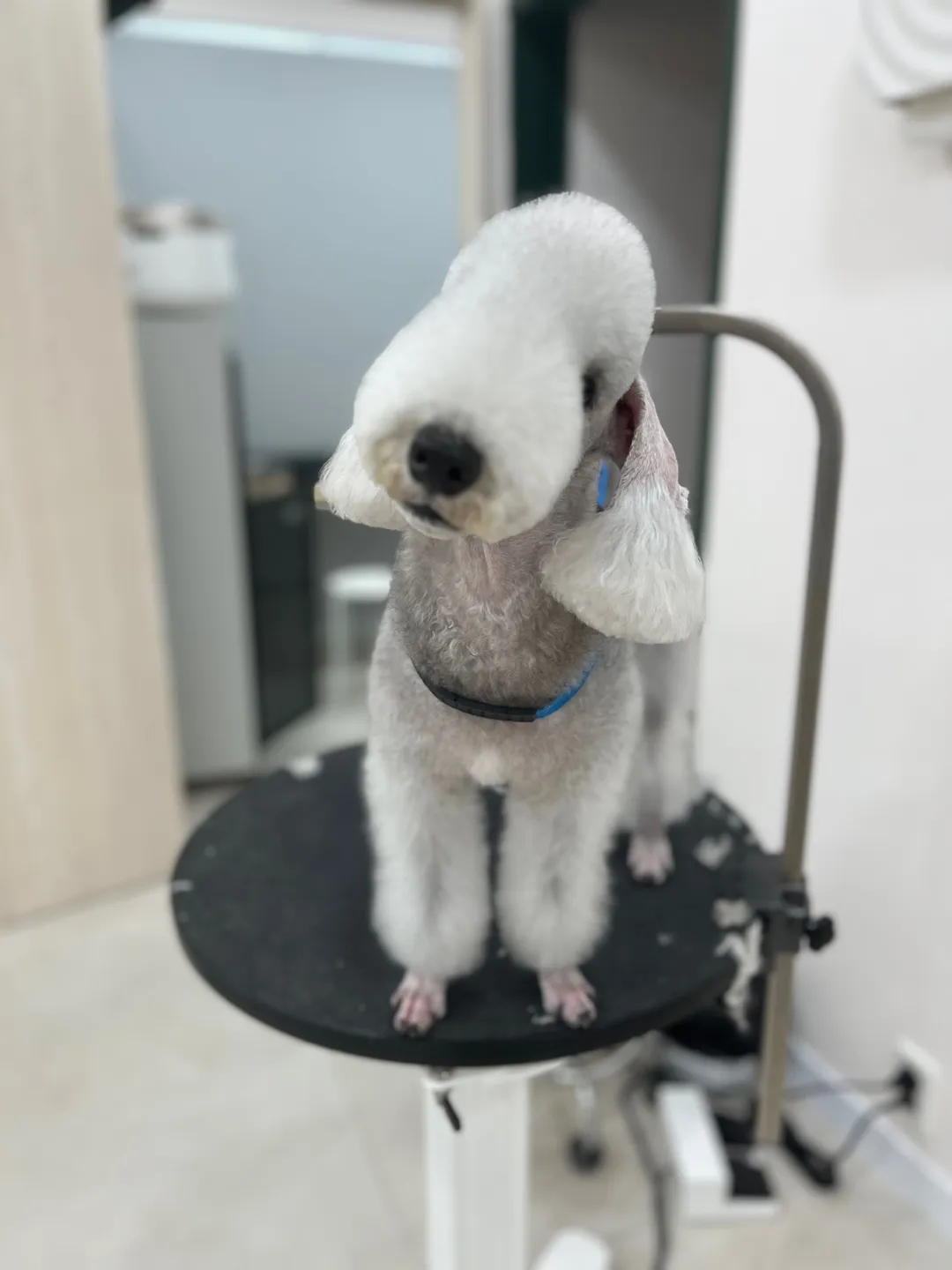 이미지 8