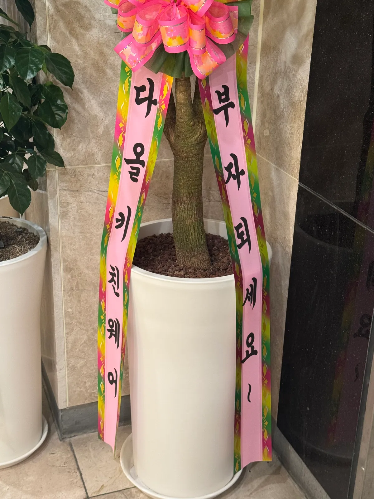 이미지 6