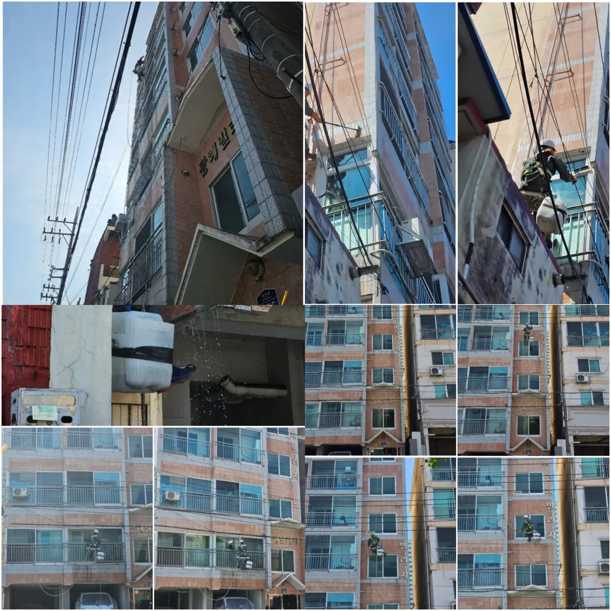 이미지 5