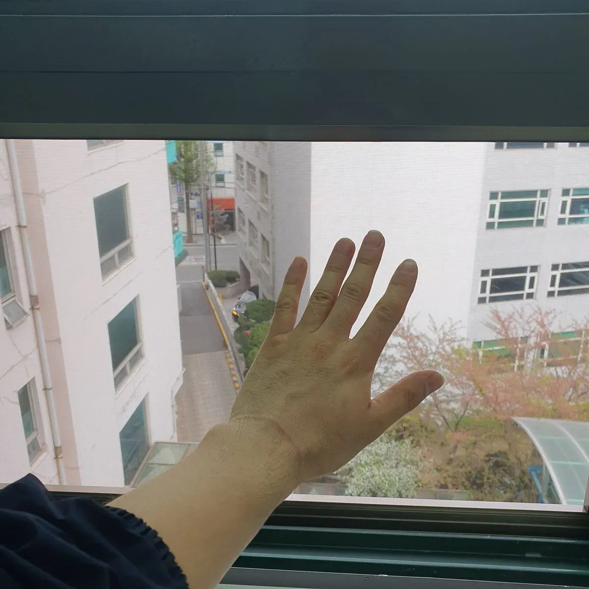 이미지 7