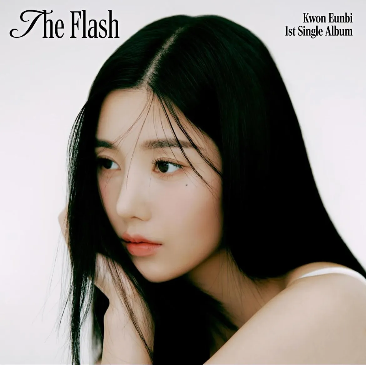 이미지 11