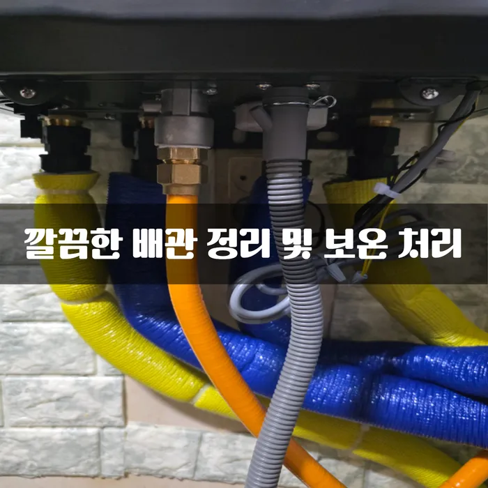 이미지 4