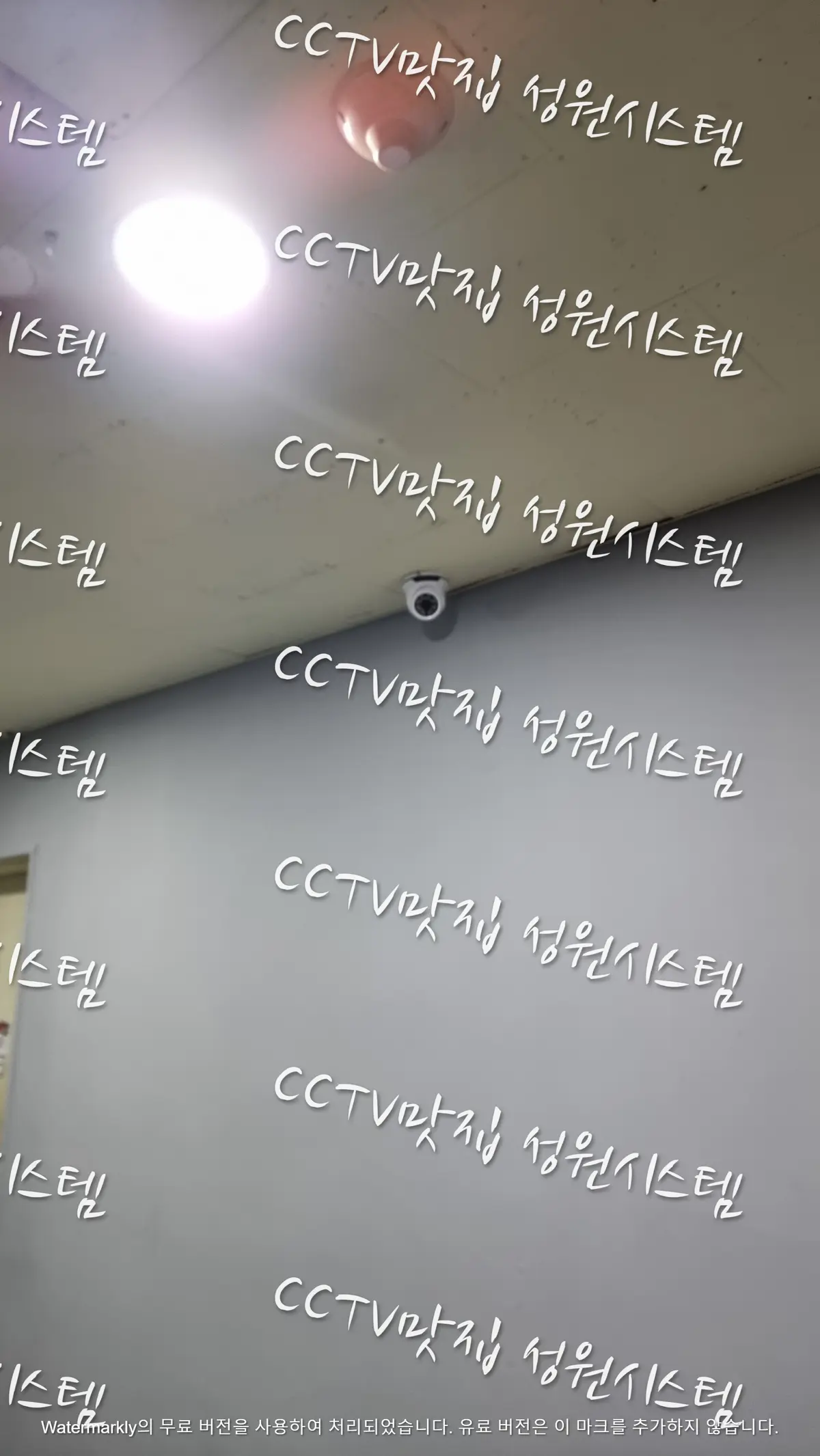 이미지 9