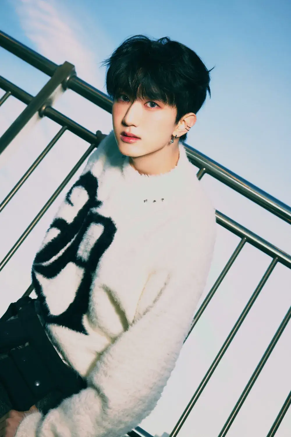 이미지 20