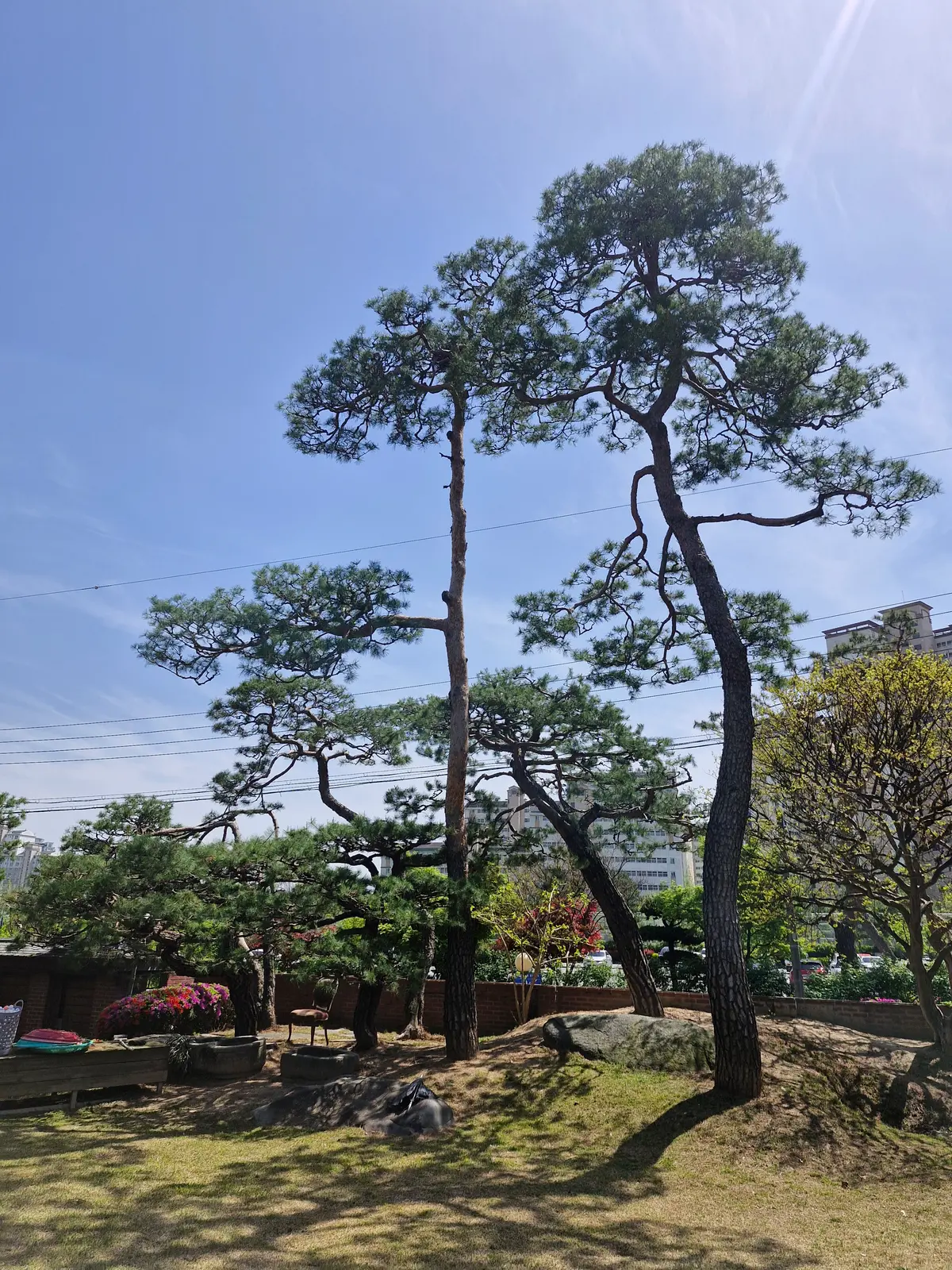 이미지 6