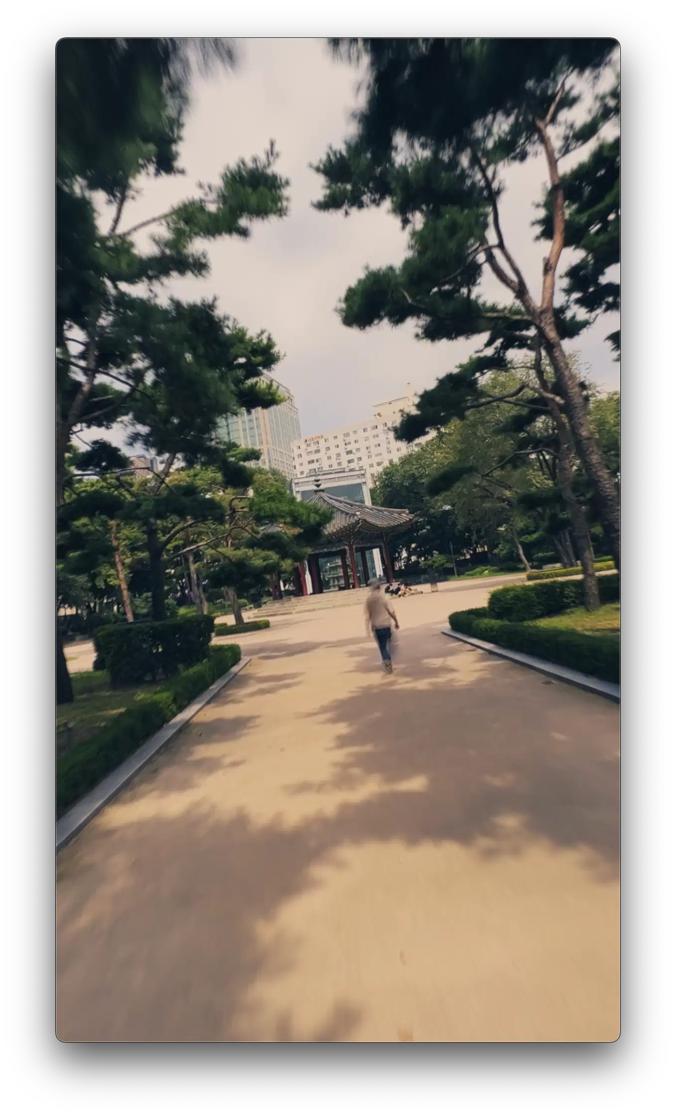 종로구 SNS 홍보영상 / 박근범 - 숨고, 숨은고수