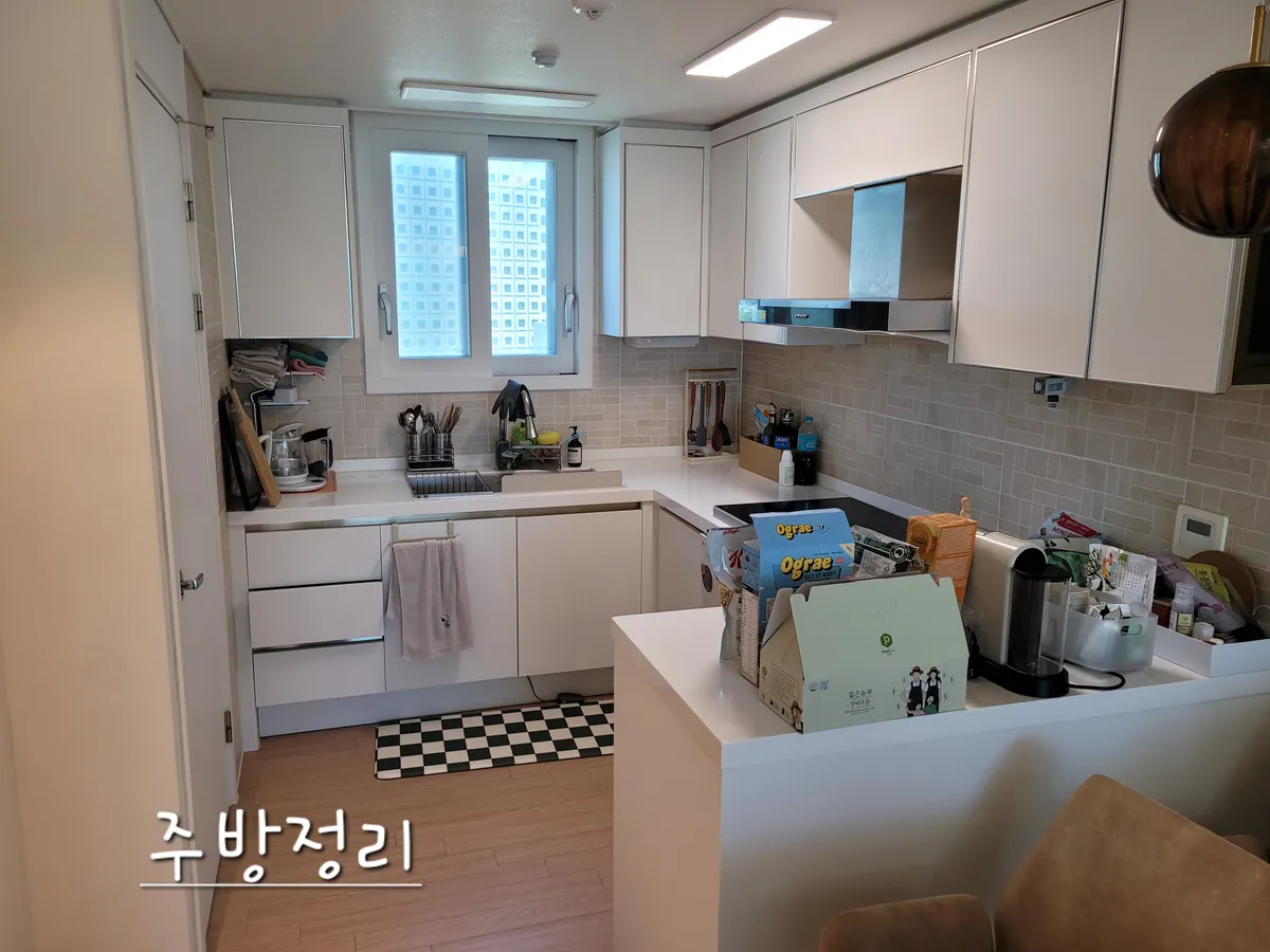 이미지 12