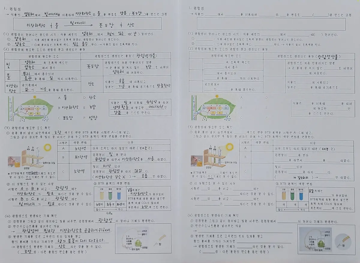 이미지 4