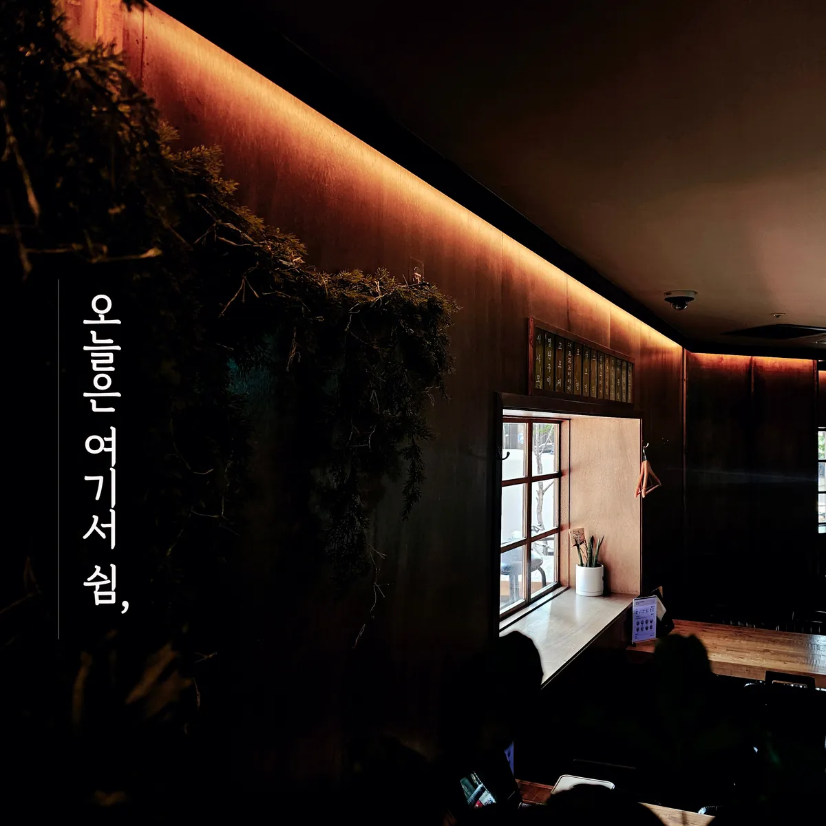 이미지 5