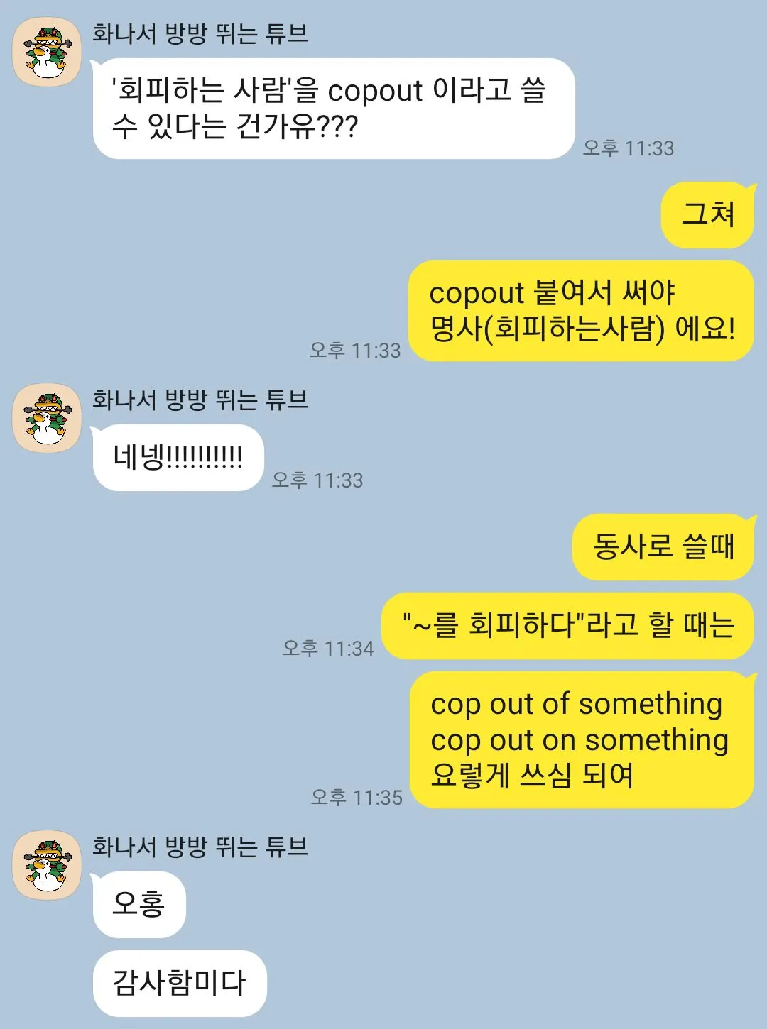 이미지 5