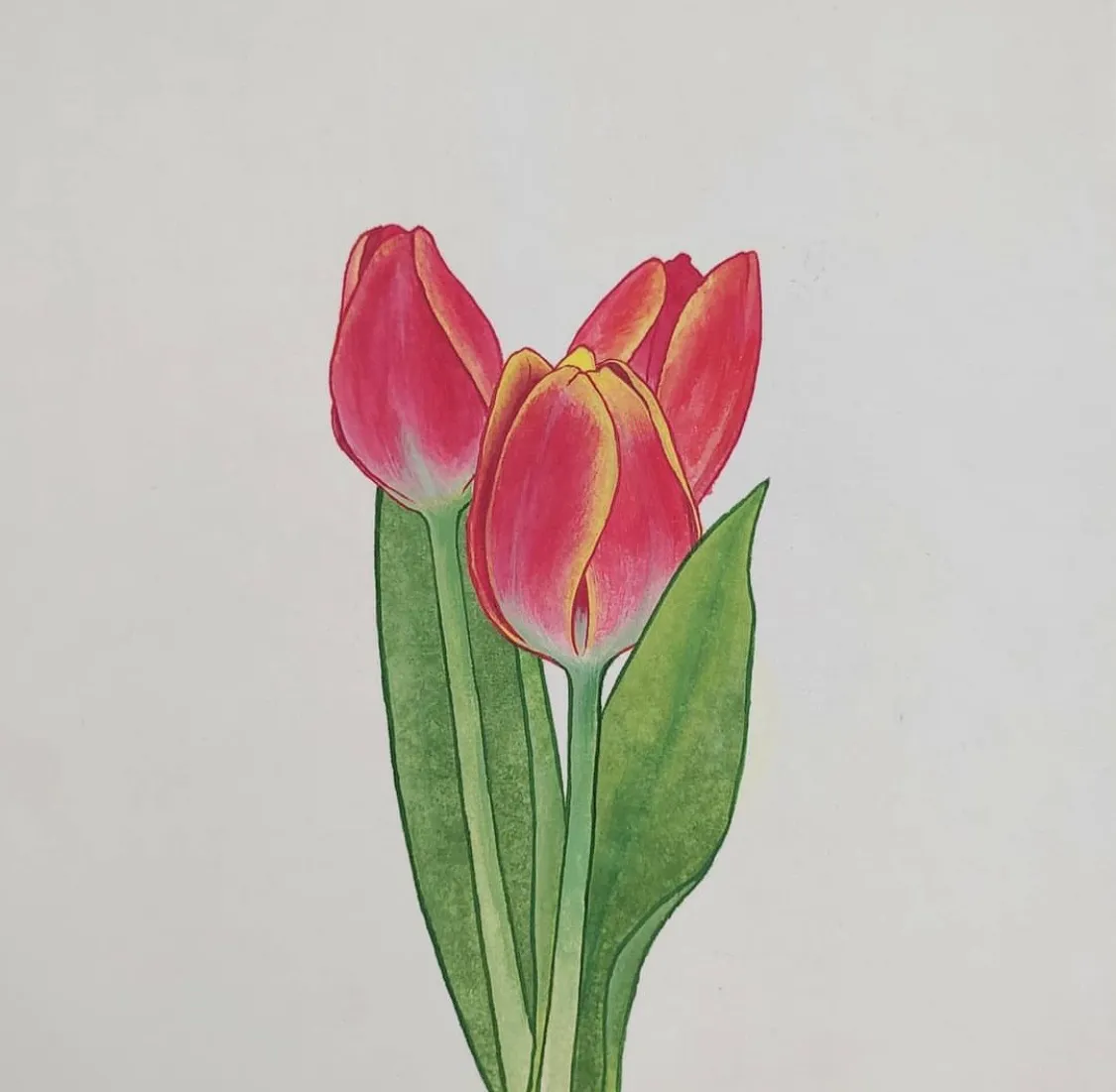 이미지 12