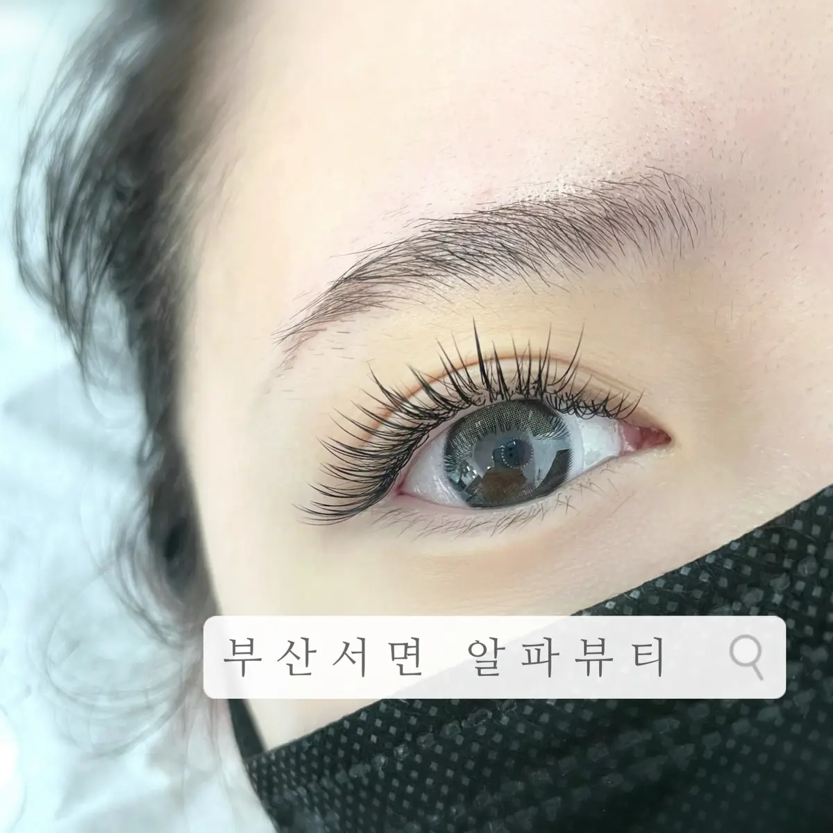 이미지 5