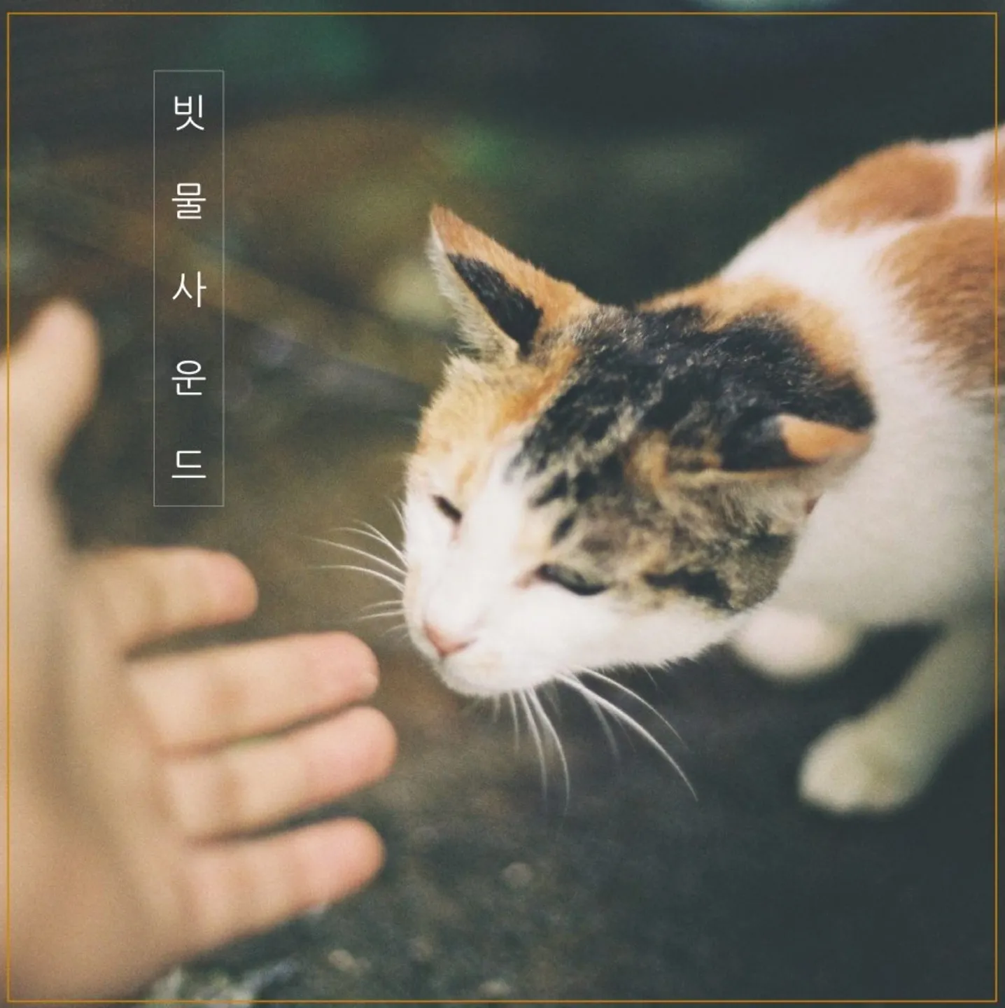 이미지 3