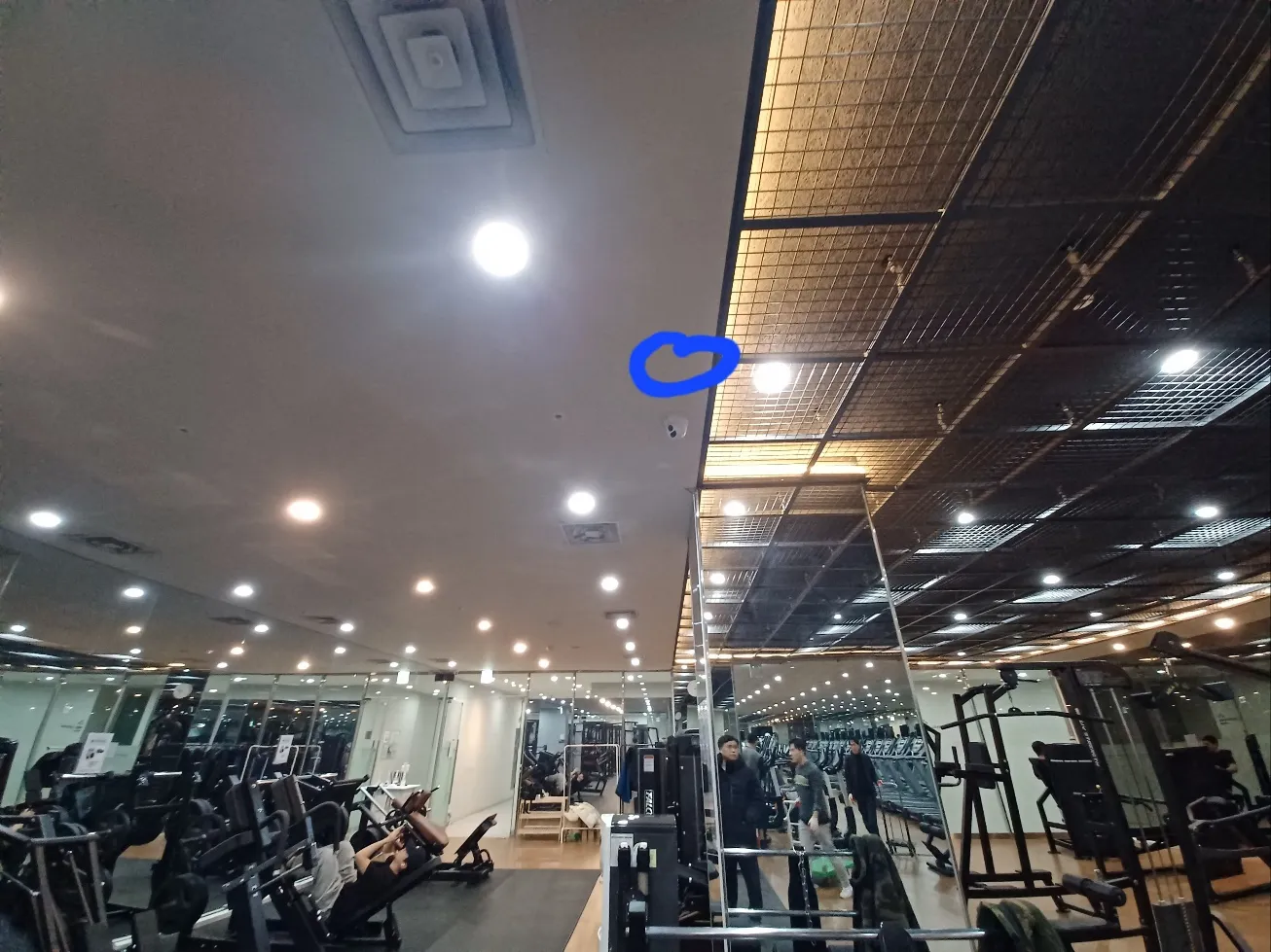 이미지 8