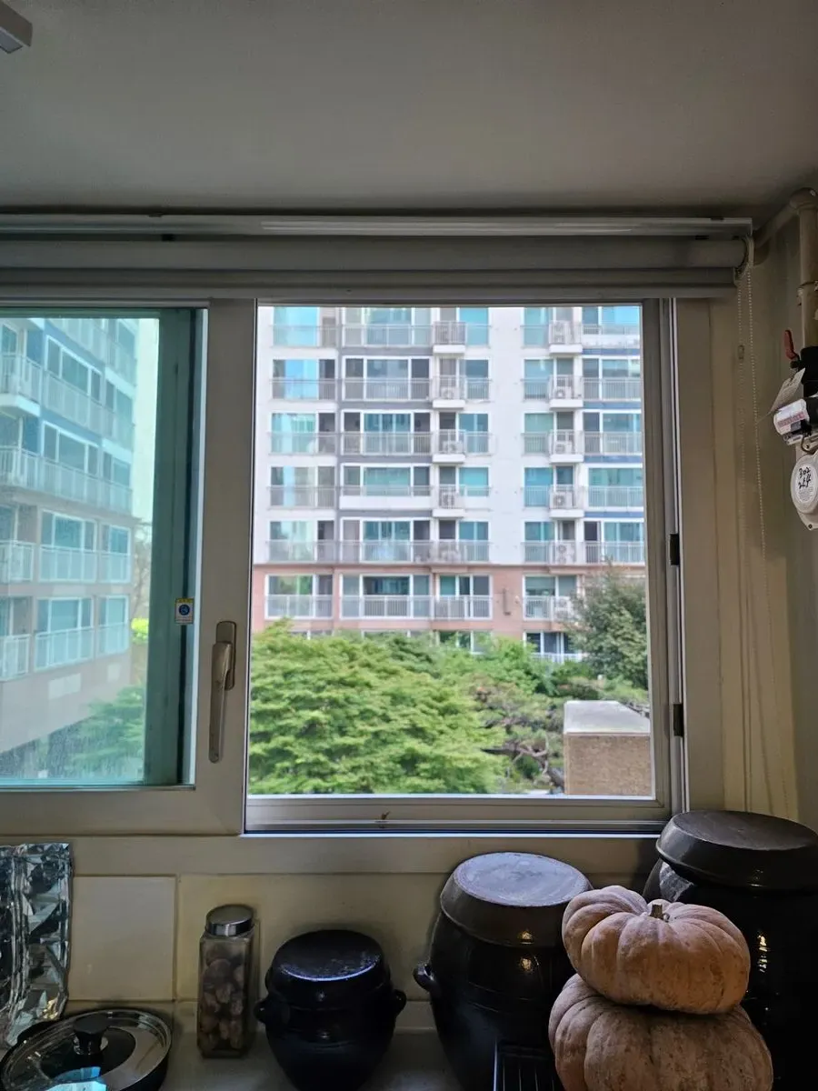 이미지 12