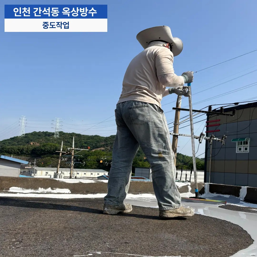 이미지 14