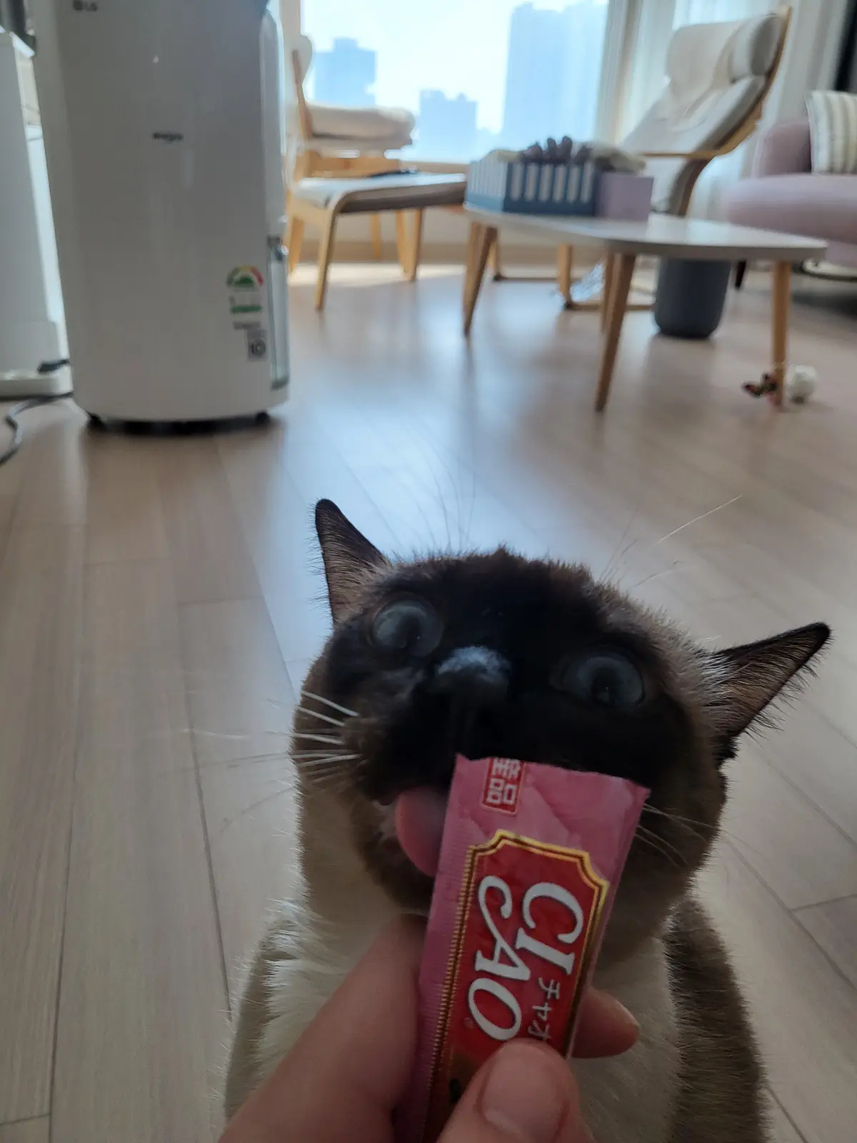 이미지 6