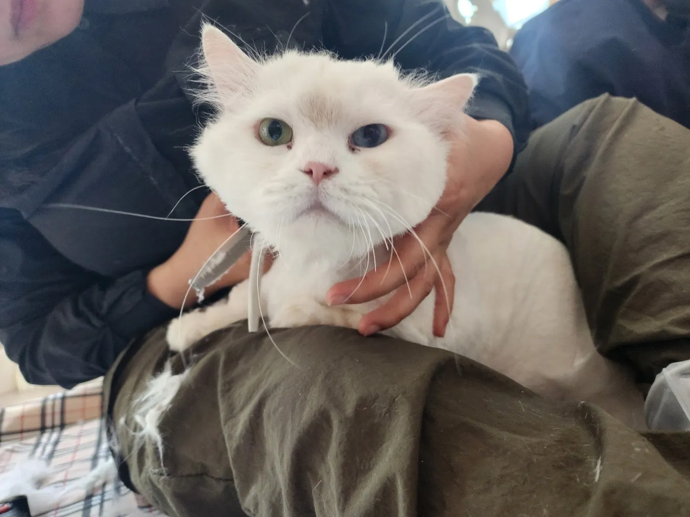 이미지 3