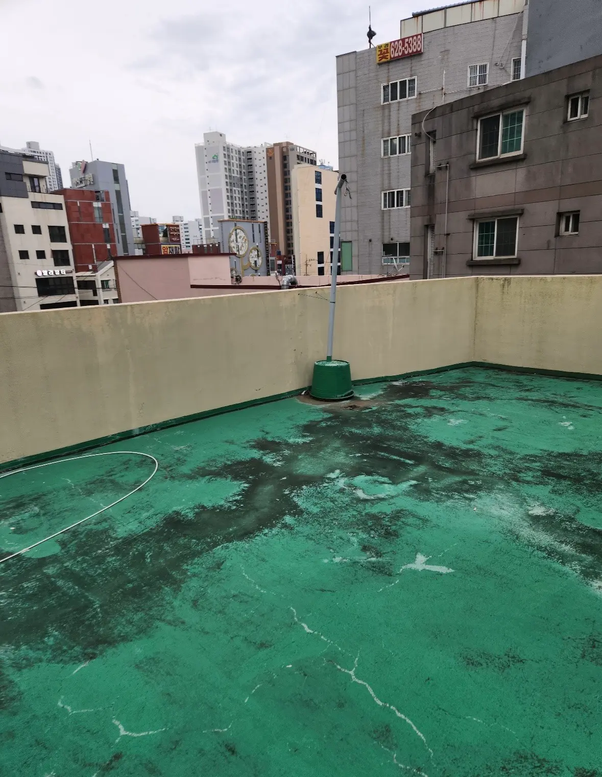 이미지 6