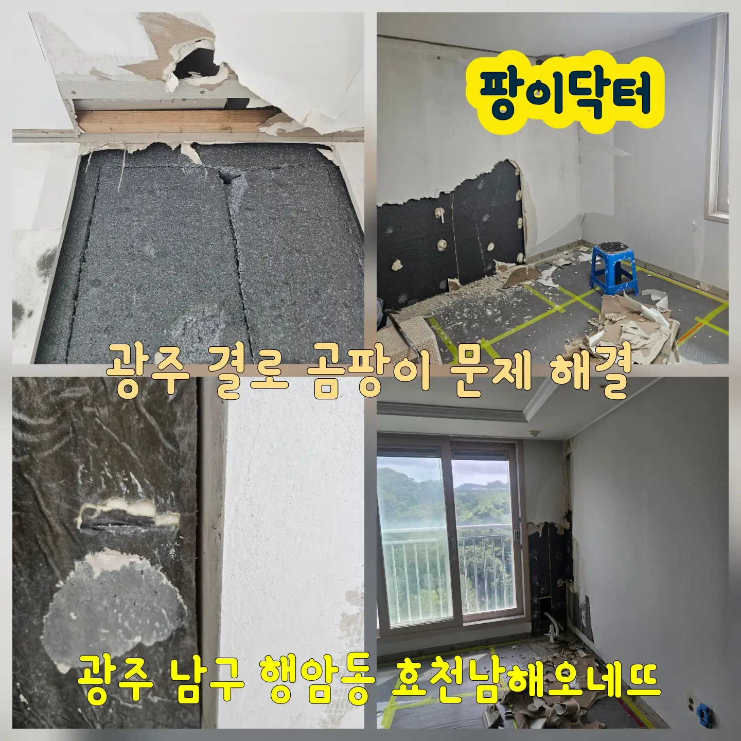 이미지 8