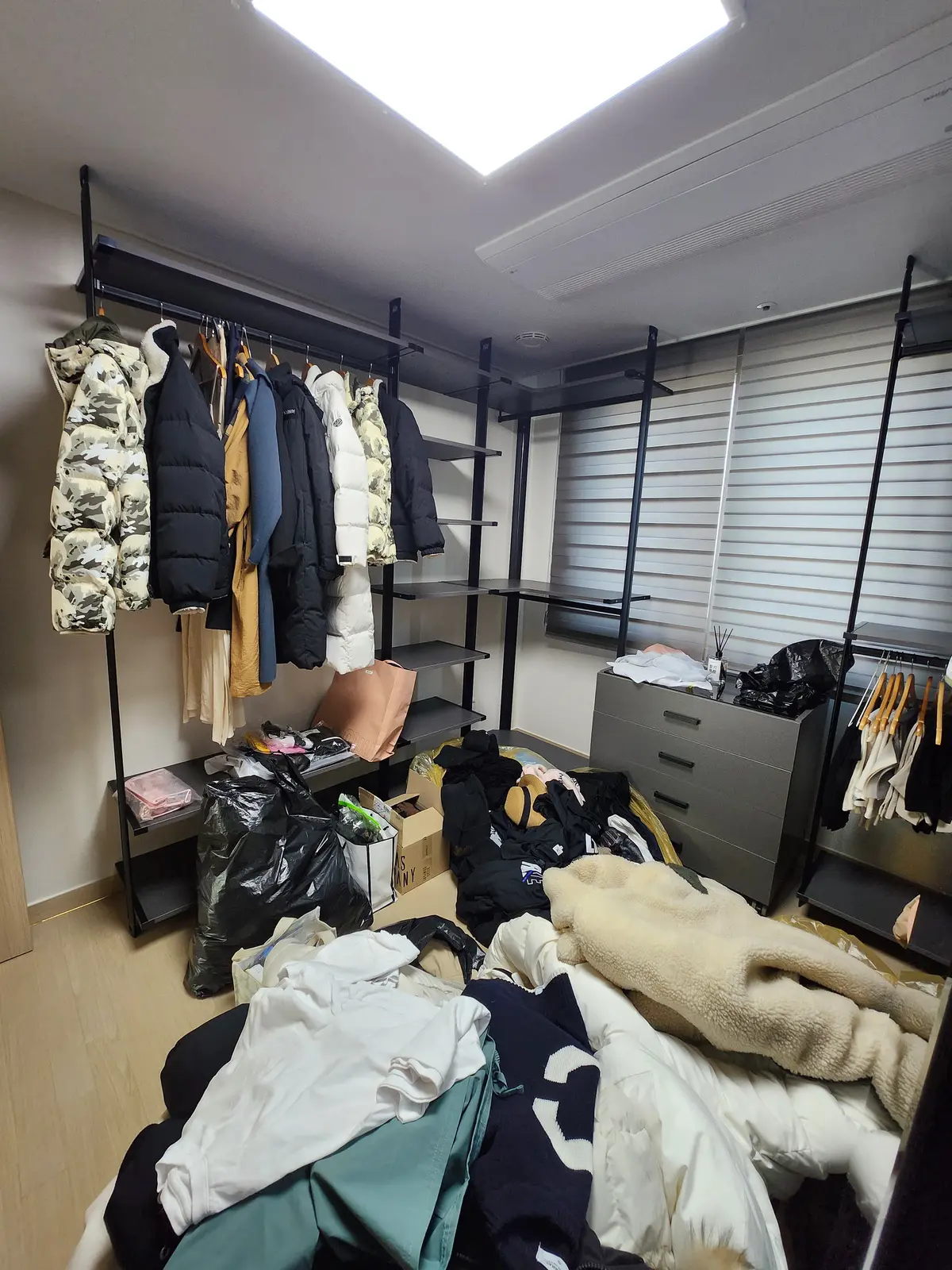 이미지 5