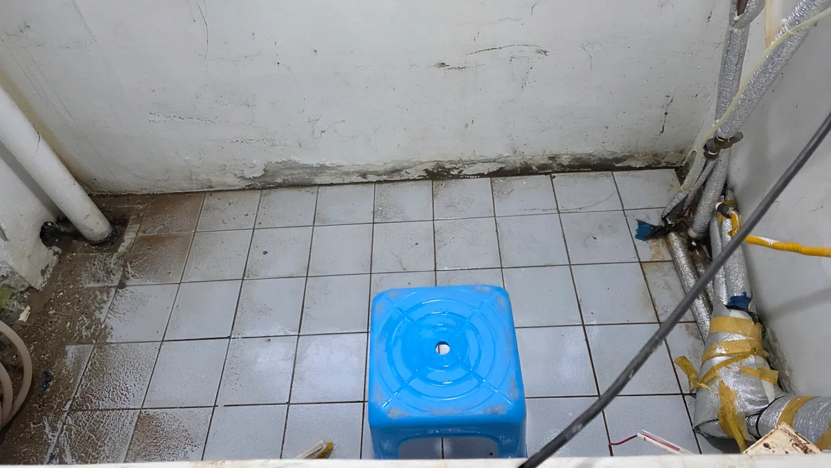 이미지 10