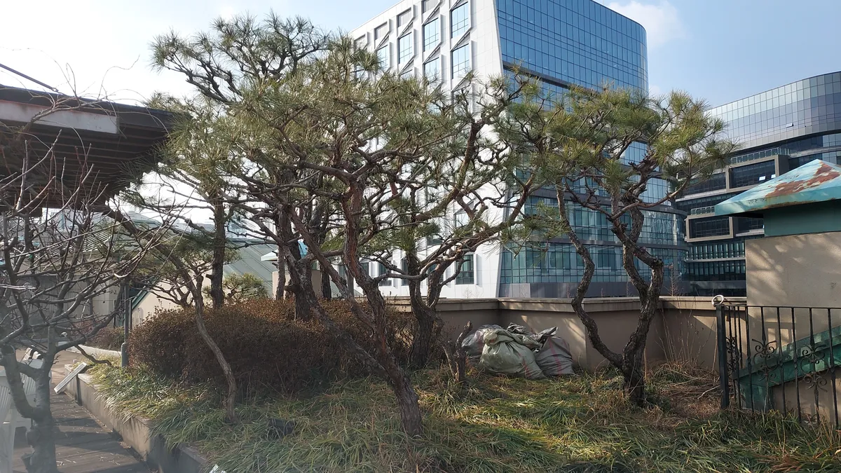 이미지 5