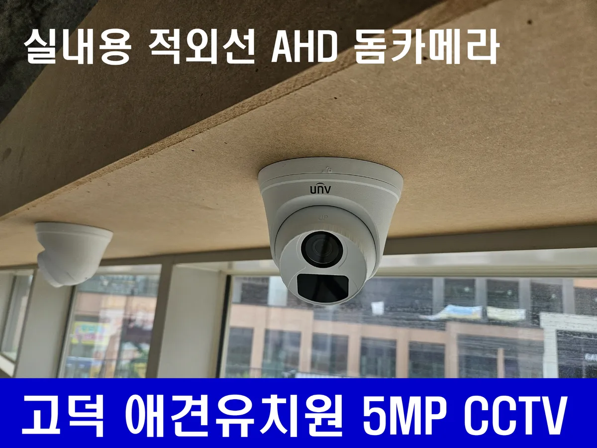 이미지 3