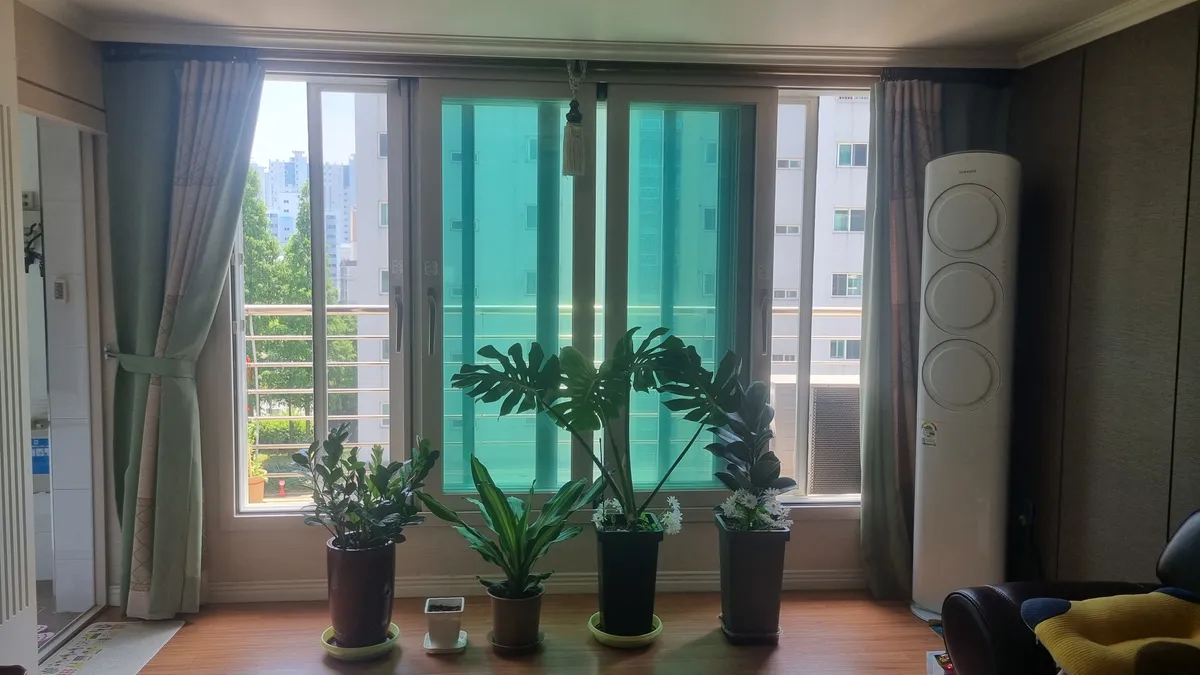 이미지 8