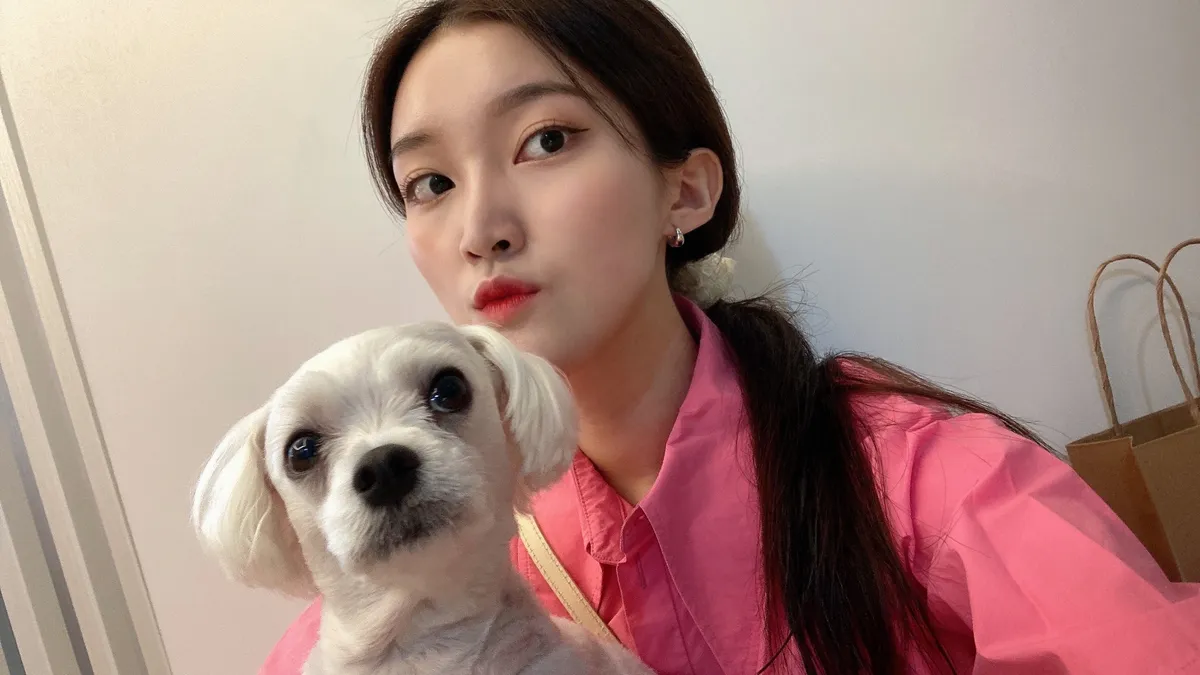 이미지 5