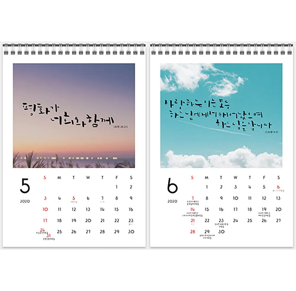 이미지 4