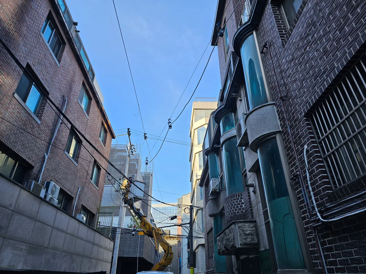 이미지 14
