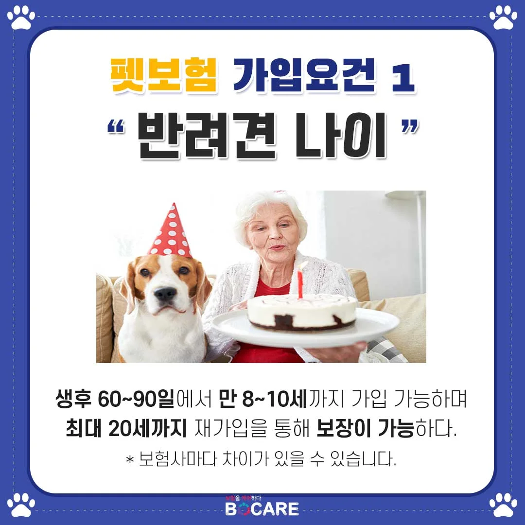 이미지 2