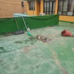 옥상 잡 폐기물 처리