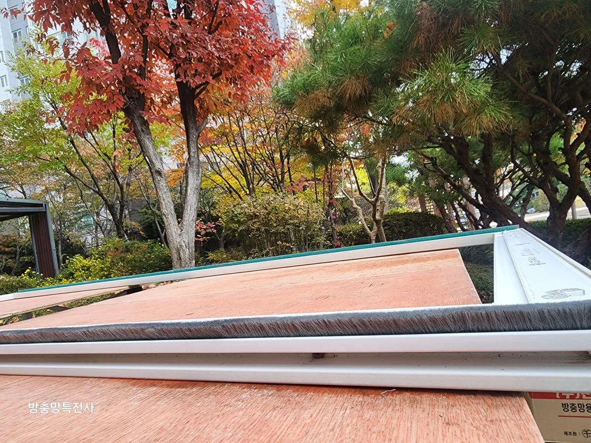 이미지 18