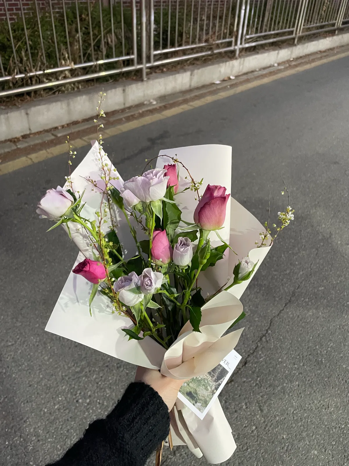 이미지 11